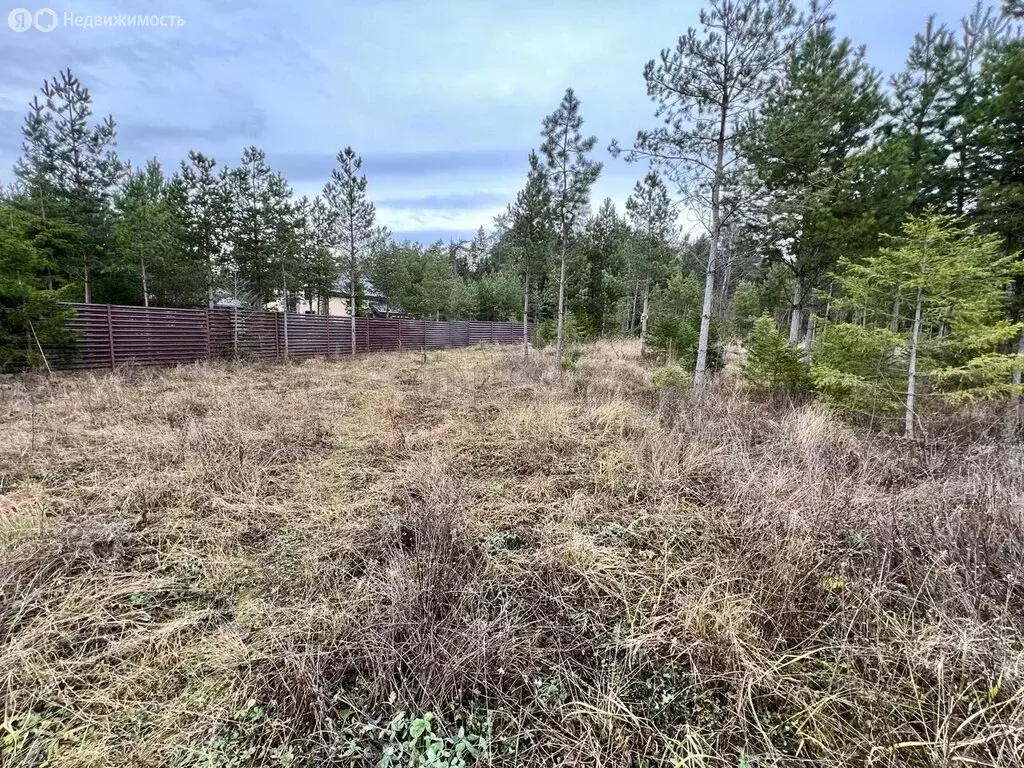 Участок в Московская область, городской округ Ступино, КП Сосны ... - Фото 2