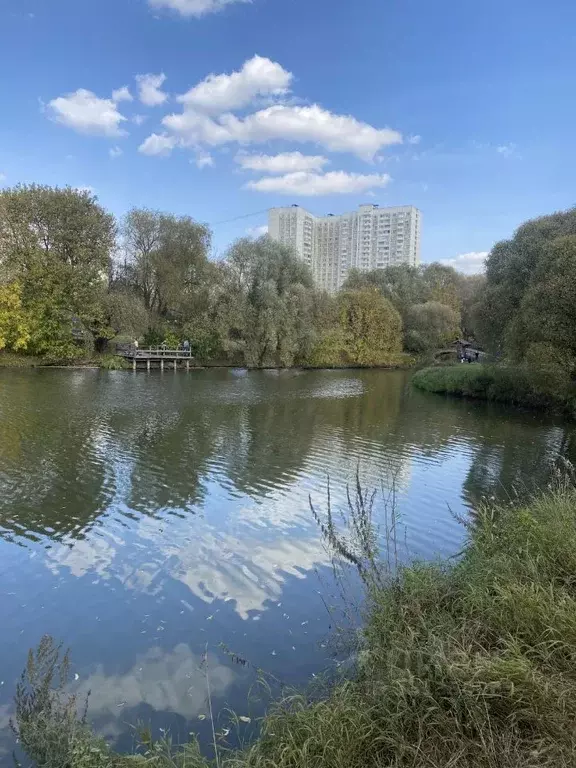 Комната Москва ул. Мусы Джалиля, 4К3 (18.0 м) - Фото 1