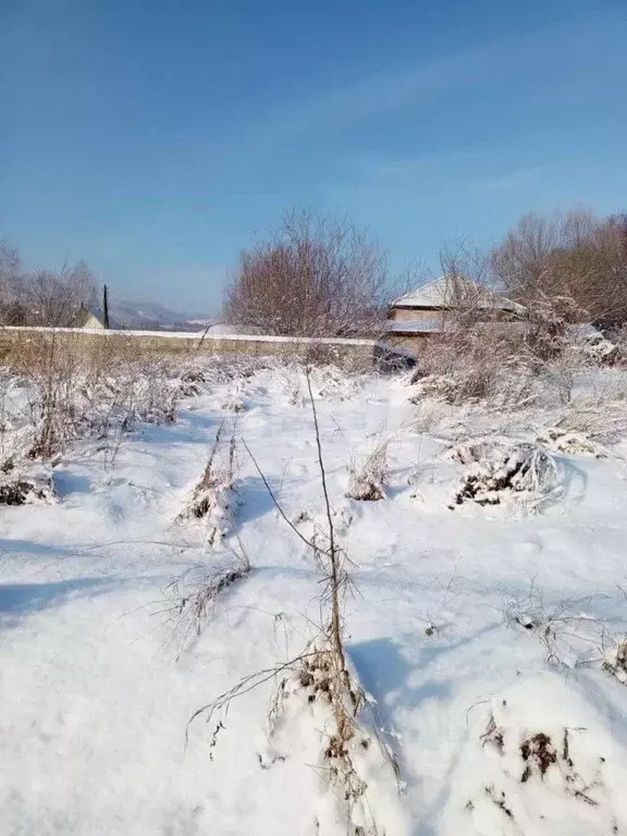 Участок в Алтайский край, Алтайский район, с. Алтайское ул. Вишневая ... - Фото 1