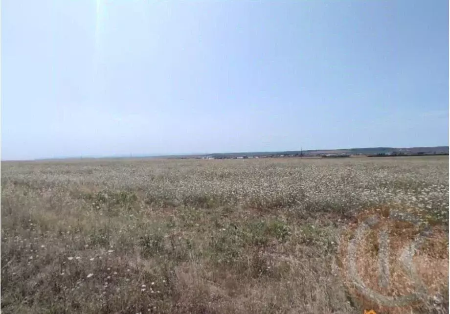 Участок в Крым, Сакский район, с. Молочное  (6.0 сот.) - Фото 1