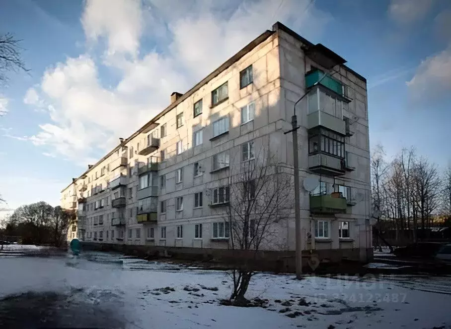 3-к кв. Новгородская область, Малая Вишера Пушкинская ул., 46 (51.9 м) - Фото 1