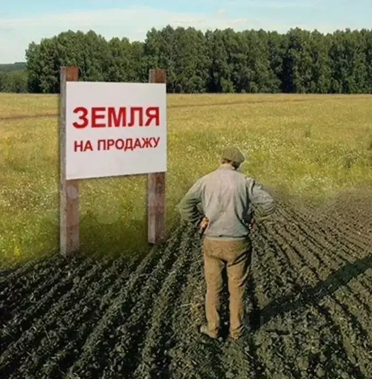 Участок в Краснодарский край, Темрюк Северные Сады СОТ,  (34.46 сот.) - Фото 0