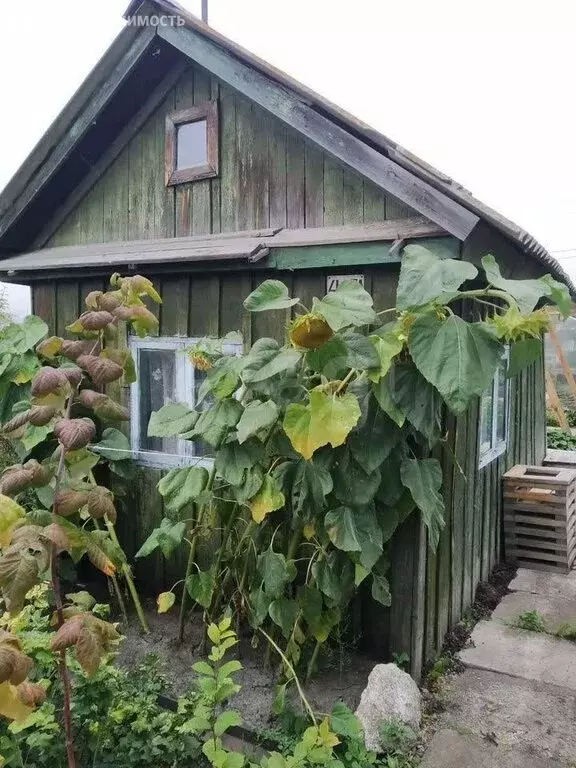 Дом в Чебаркуль, СНТ Металлург-2 (10 м) - Фото 1