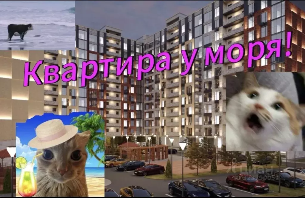 Студия Дагестан, Махачкала просп. Насрутдинова, 162 (33.0 м) - Фото 1