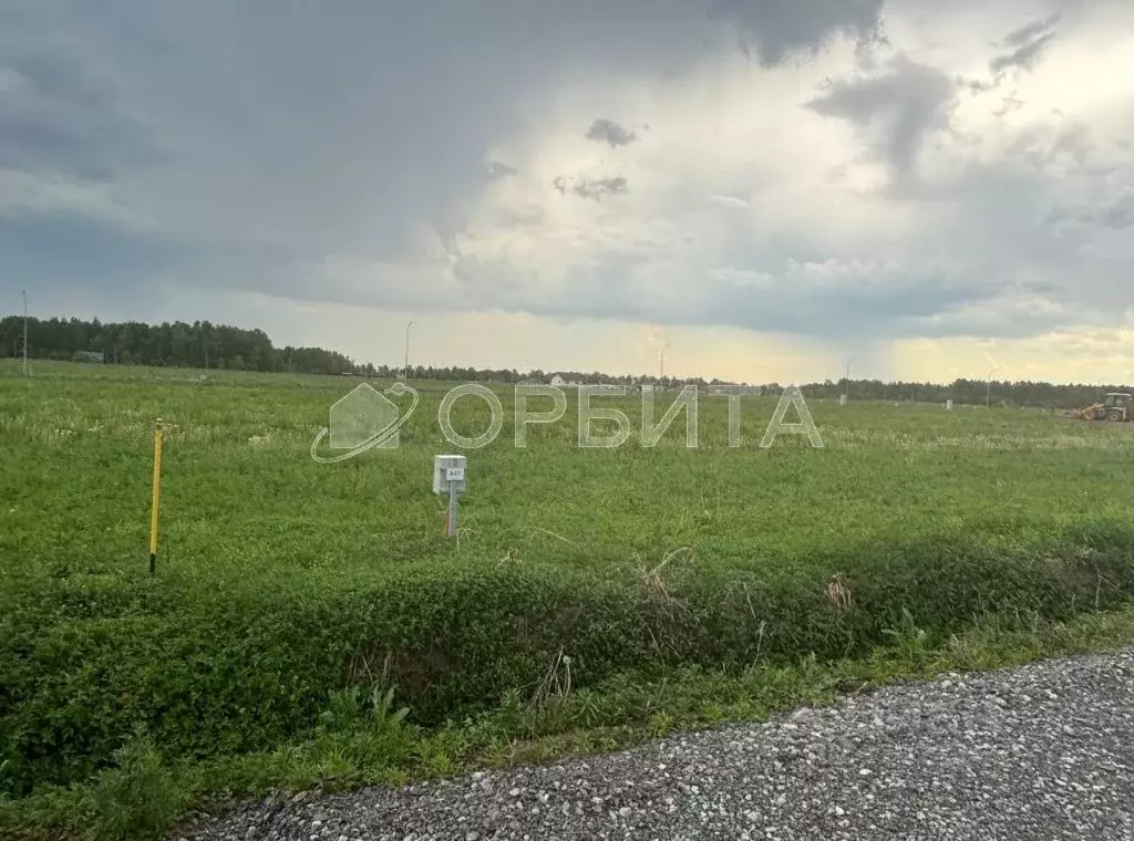 Участок в Тюменская область, Тюменский район, с. Каменка  (11.6 сот.) - Фото 1