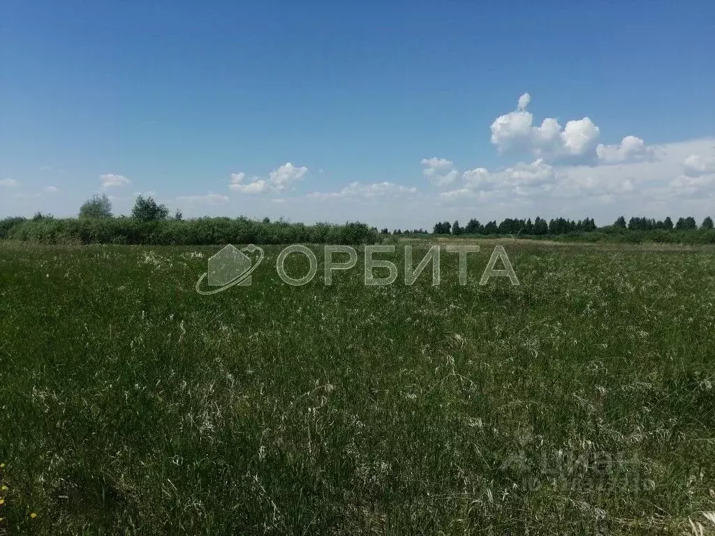 Участок в Тюменская область, Тюмень  (410.0 сот.) - Фото 1