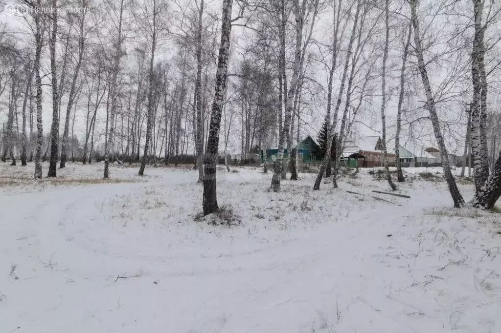 Участок в деревня Ваньковка, Полевая улица (12.47 м) - Фото 2