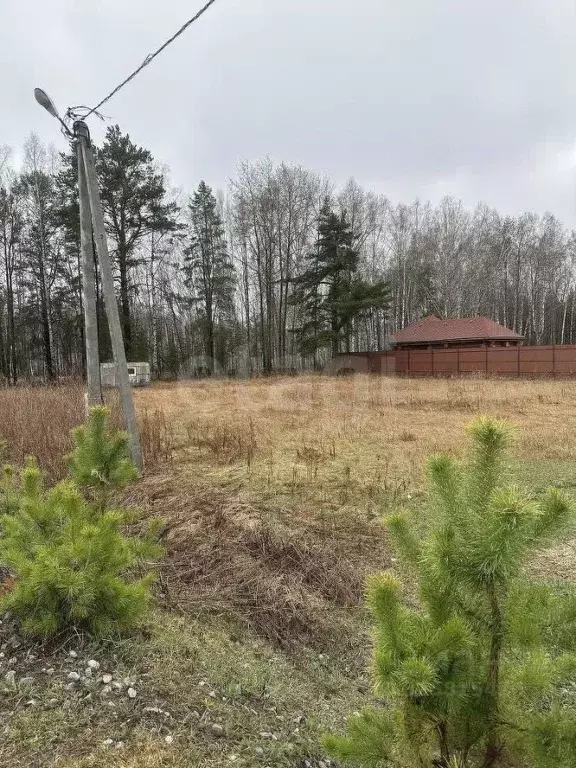 Участок в Тюменская область, Тюменский муниципальный округ, д. ... - Фото 2