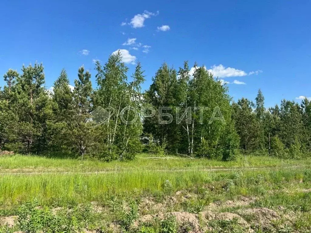 Участок в Свердловская область, Тугулым пгт ул. Новая (14.94 сот.) - Фото 1