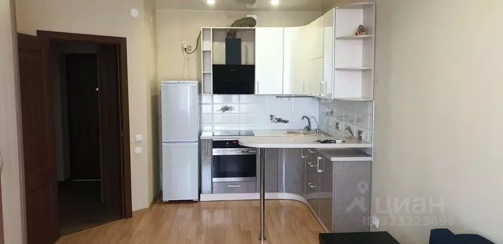 1-к кв. Нижегородская область, Нижний Новгород д. Анкудиновка, ул. ... - Фото 1