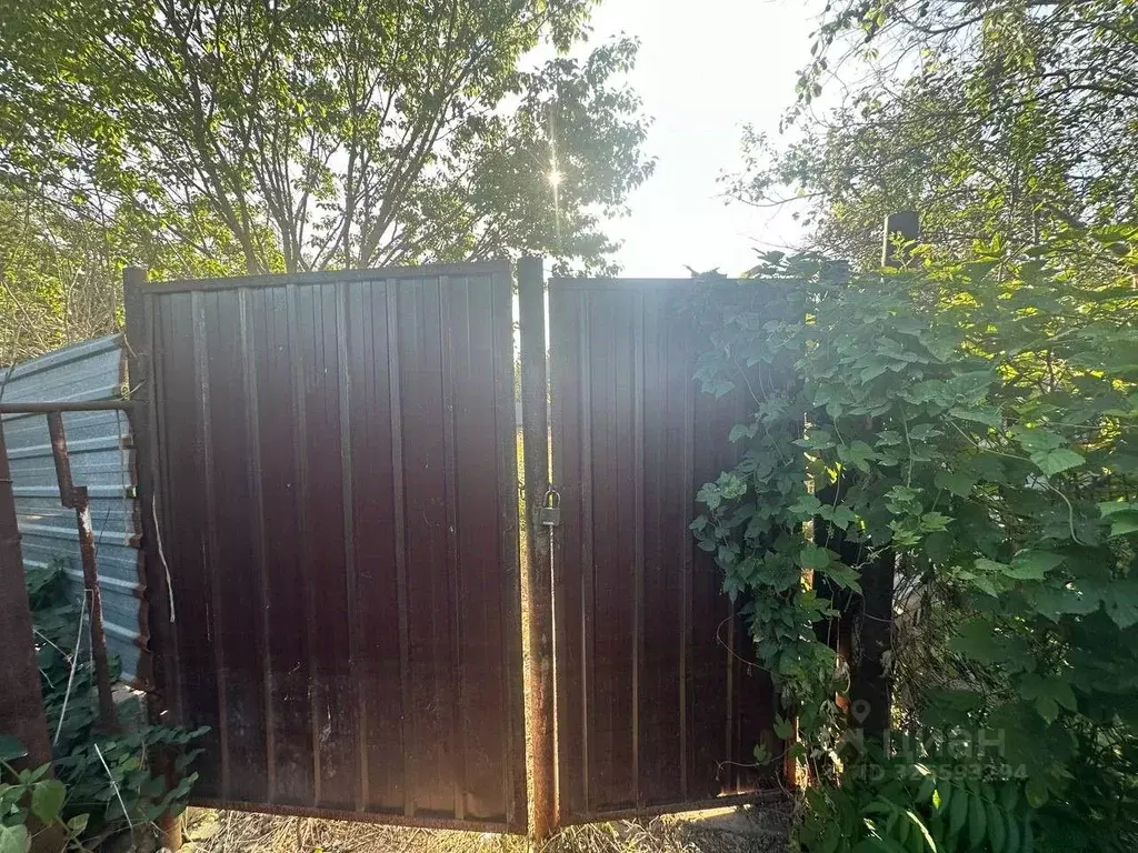 Участок в Оренбургская область, Оренбург Дубки СТ, 8 (6.0 сот.) - Фото 2