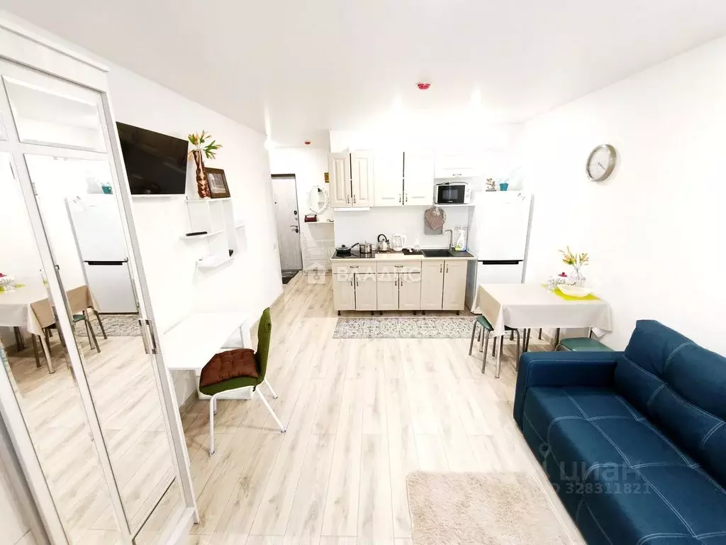 Студия Московская область, Жуковский ул. Гагарина, 81/1 (28.0 м) - Фото 1