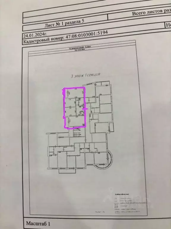 3-к кв. Ленинградская область, Сертолово Всеволожский район, ул. ... - Фото 2