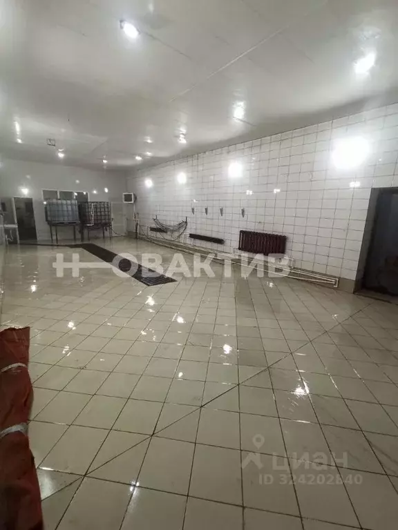 Склад в Новосибирская область, Карасук ул. Тимонова, 115 (356 м) - Фото 1