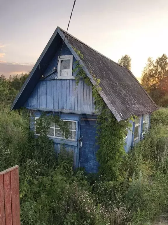 Родники гагарина. Дачи в Гагаринском районе. Дача Гагарина. Гагарин в деревне.