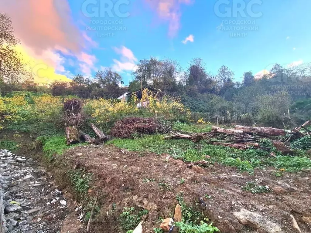 Участок в Краснодарский край, Сочи Вишневая ул., 82 (12.5 сот.) - Фото 1