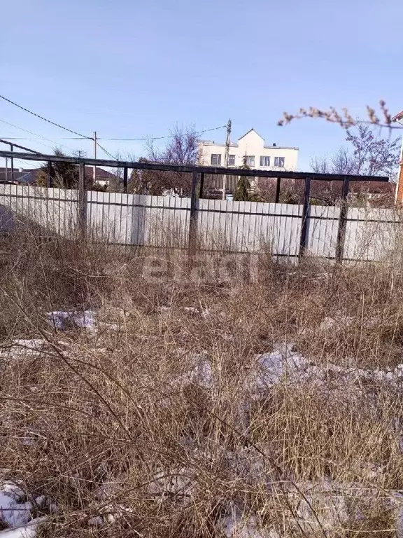 Участок в Белгородская область, Поселок Чернянка городское поселение, ... - Фото 0