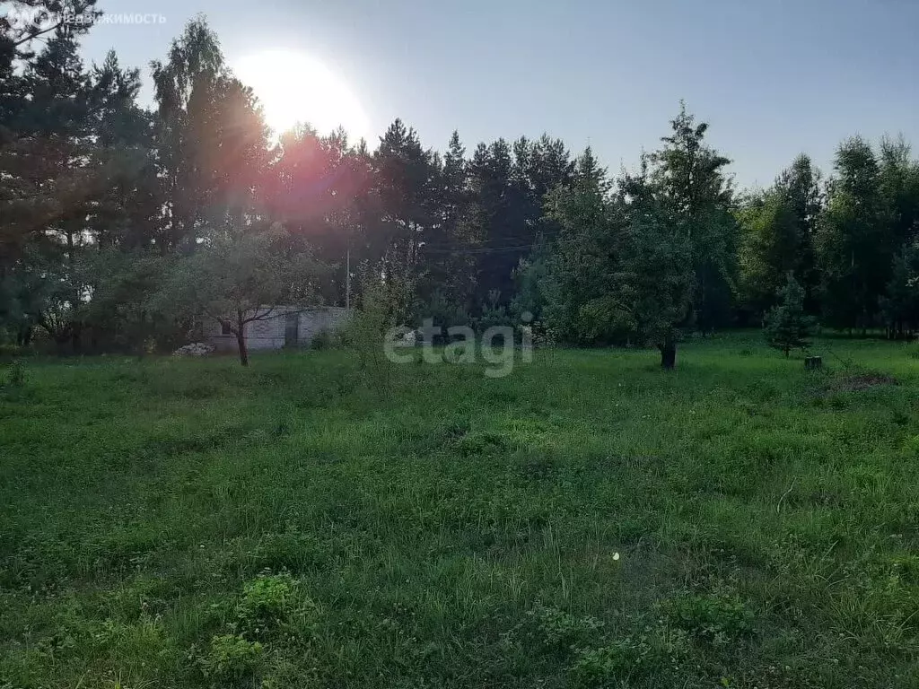 Дом в Орловский муниципальный округ, СНТ Снежинка (49 м) - Фото 2