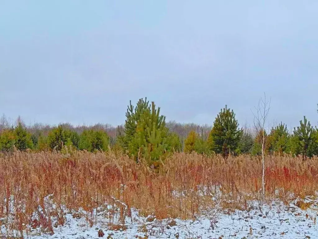 Участок в Тюменская область, Тюменский муниципальный округ, ... - Фото 2