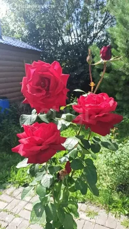 Дом в Тюменская область, Тобольский муниципальный округ, Башковское ... - Фото 1