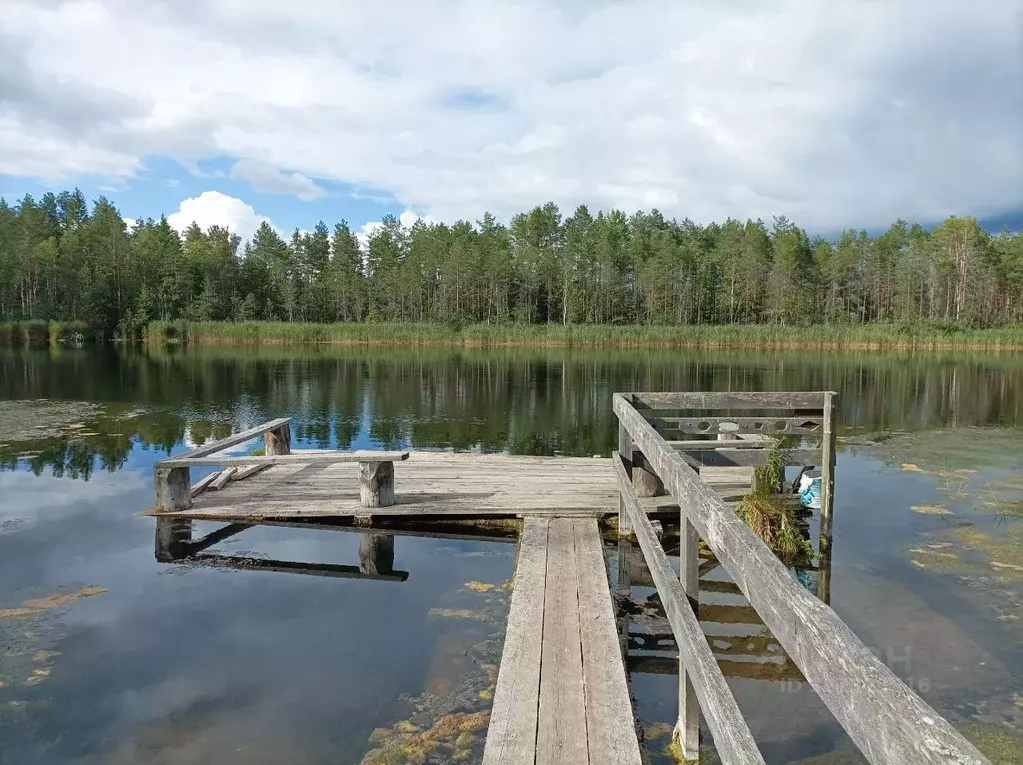 Дом в Вологодская область, Кирилловский муниципальный округ, д. ... - Фото 2