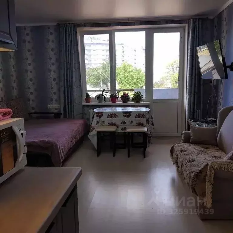 Студия Севастополь ул. Щитовая, 15А (30.0 м) - Фото 1