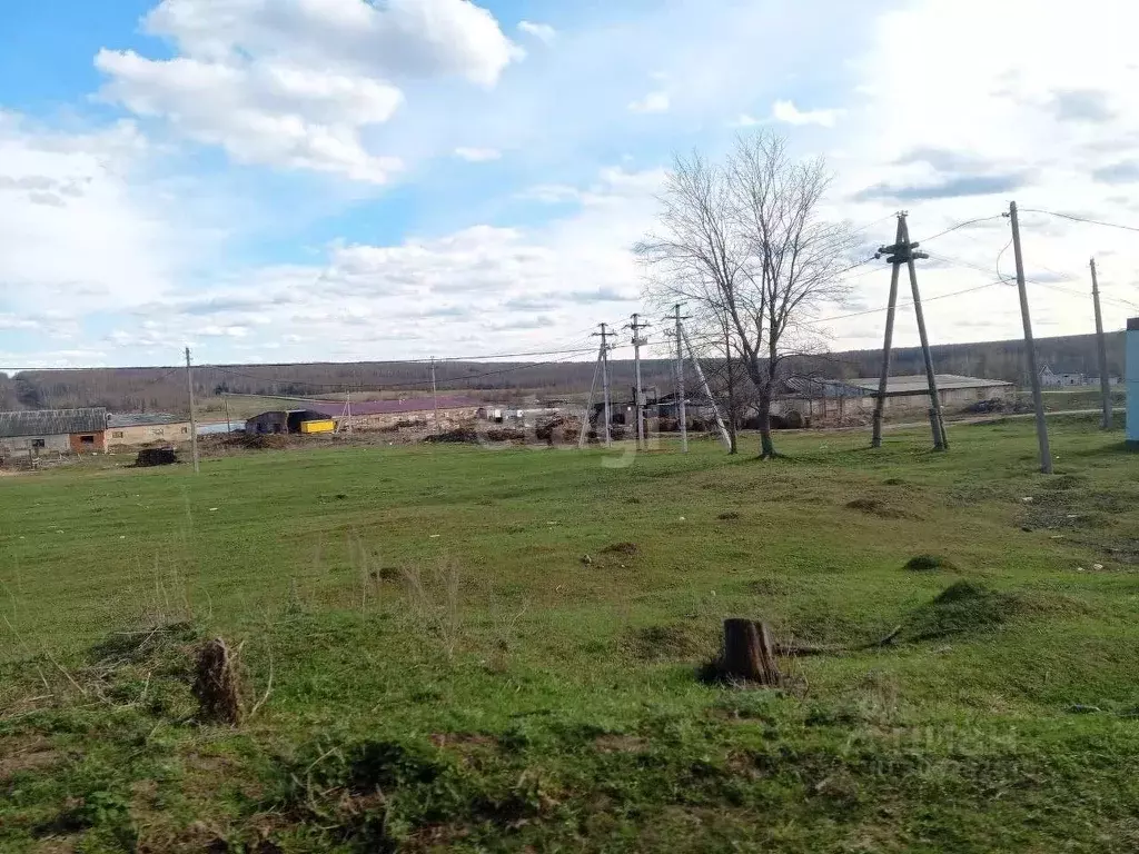 Участок в Нижегородская область, Богородский муниципальный округ, д. ... - Фото 0