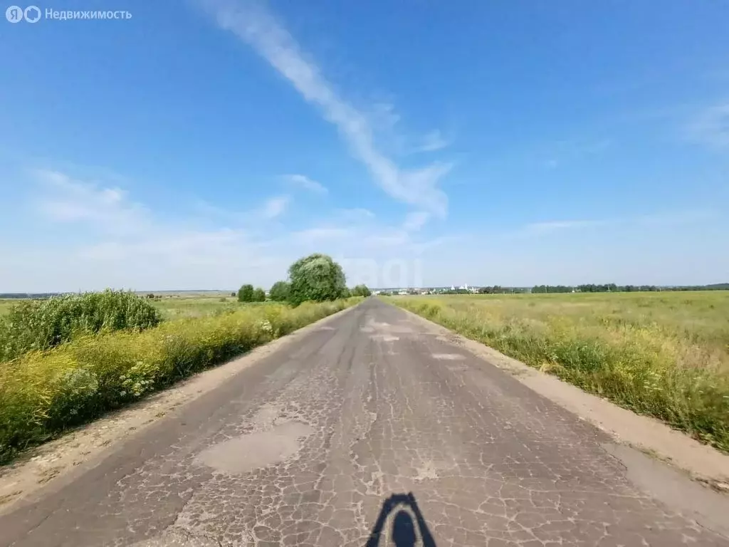 Участок в Нижегородская область, село Дивеево (10 м) - Фото 1