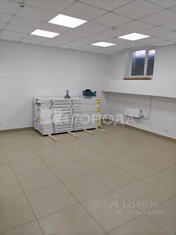 Помещение свободного назначения в Новосибирская область, Новосибирск ... - Фото 1