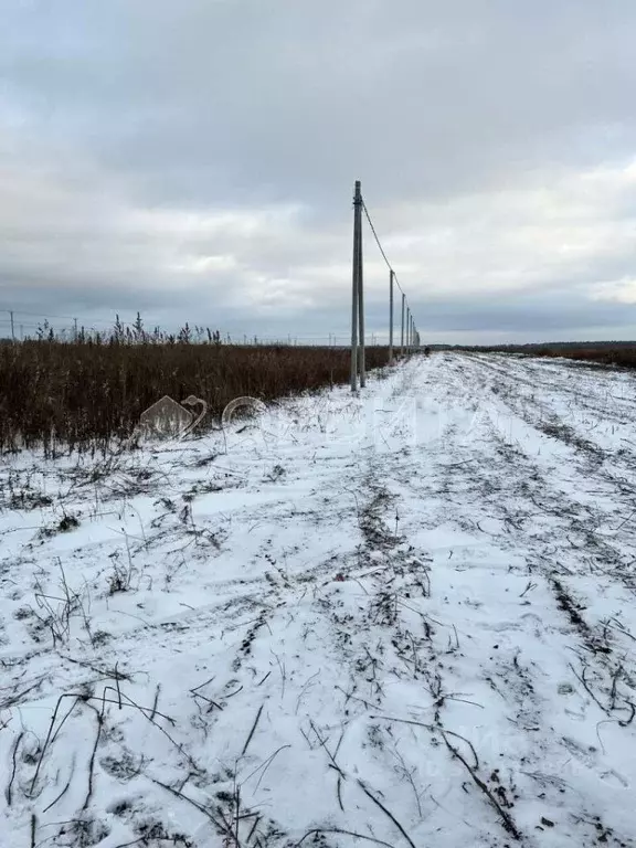 Участок в Тюменская область, Тюменский район, д. Малиновка ул. ... - Фото 0