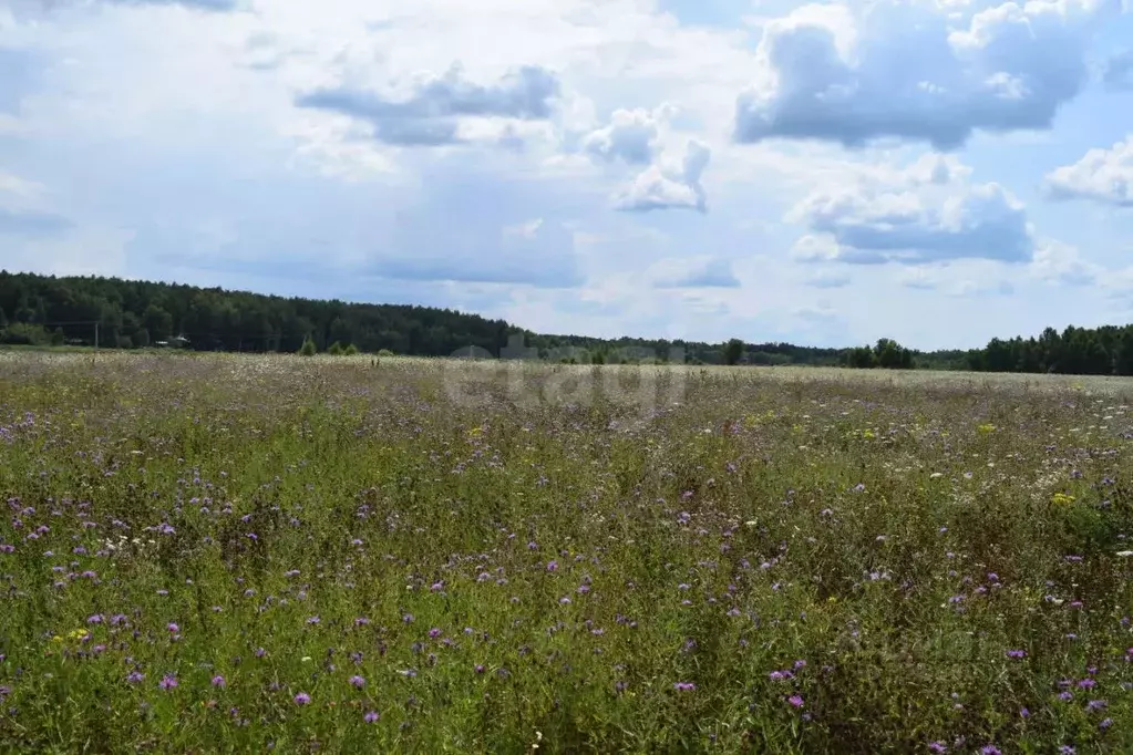 Участок в Калужская область, Перемышльский район, Хотисино с/пос, д. ... - Фото 1