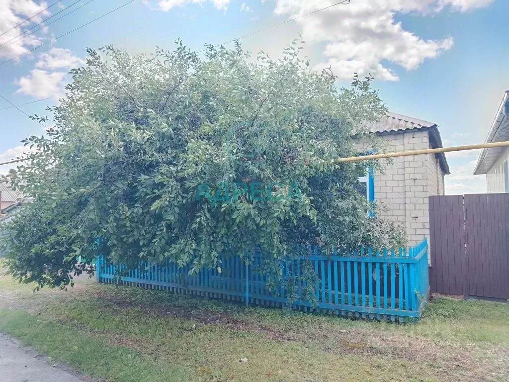 Дом в Белгородская область, Новооскольский муниципальный округ, с. ... - Фото 1