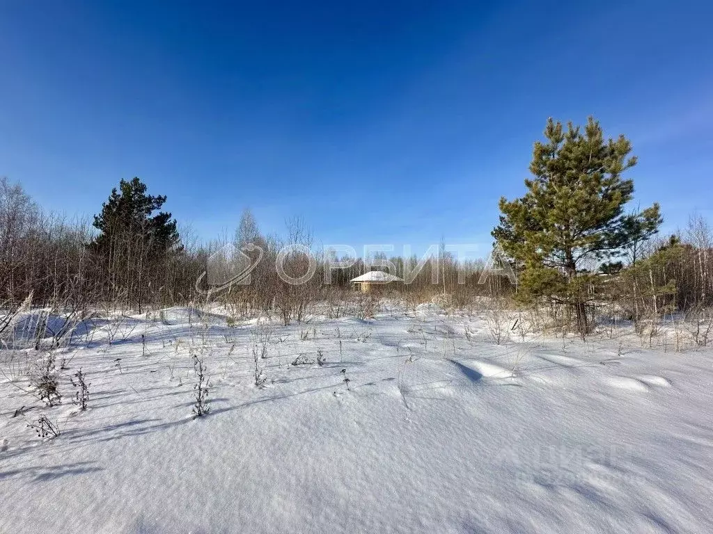 Участок в Тюменская область, Нижнетавдинский район, с. Тюнево  (10.0 ... - Фото 0
