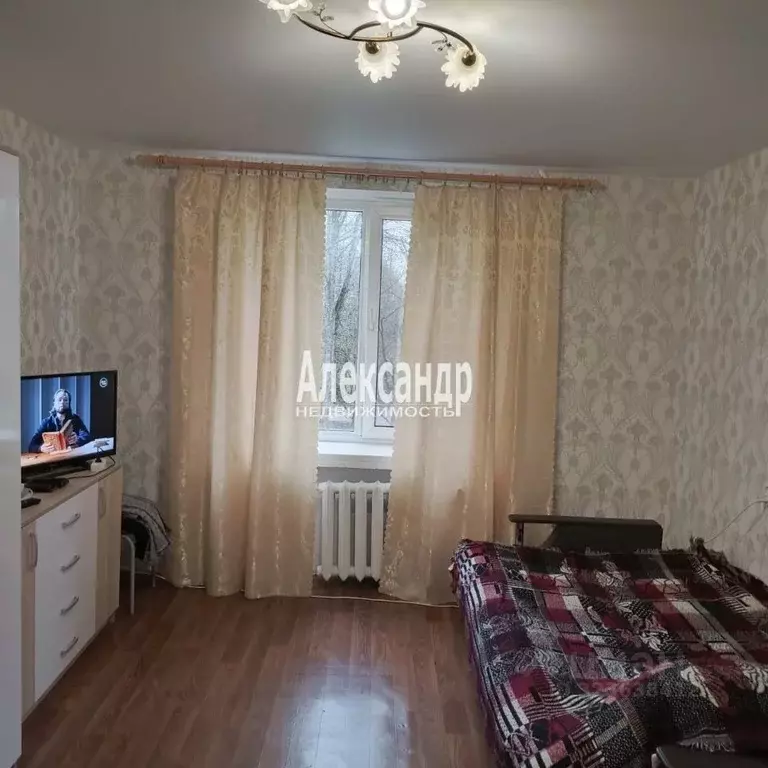 1-к кв. Ленинградская область, Никольское Тосненский район, ... - Фото 1