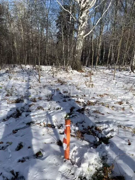 Участок в Кемеровская область, Новокузнецкий муниципальный округ, с. ... - Фото 1