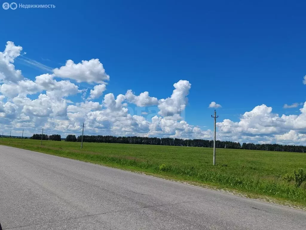 Участок в село Ельники, Заречная улица (460 м) - Фото 1