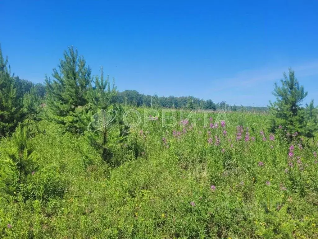 Участок в Тюменская область, Тюменский район, с. Кулига, Кулига-2 мкр  ... - Фото 1