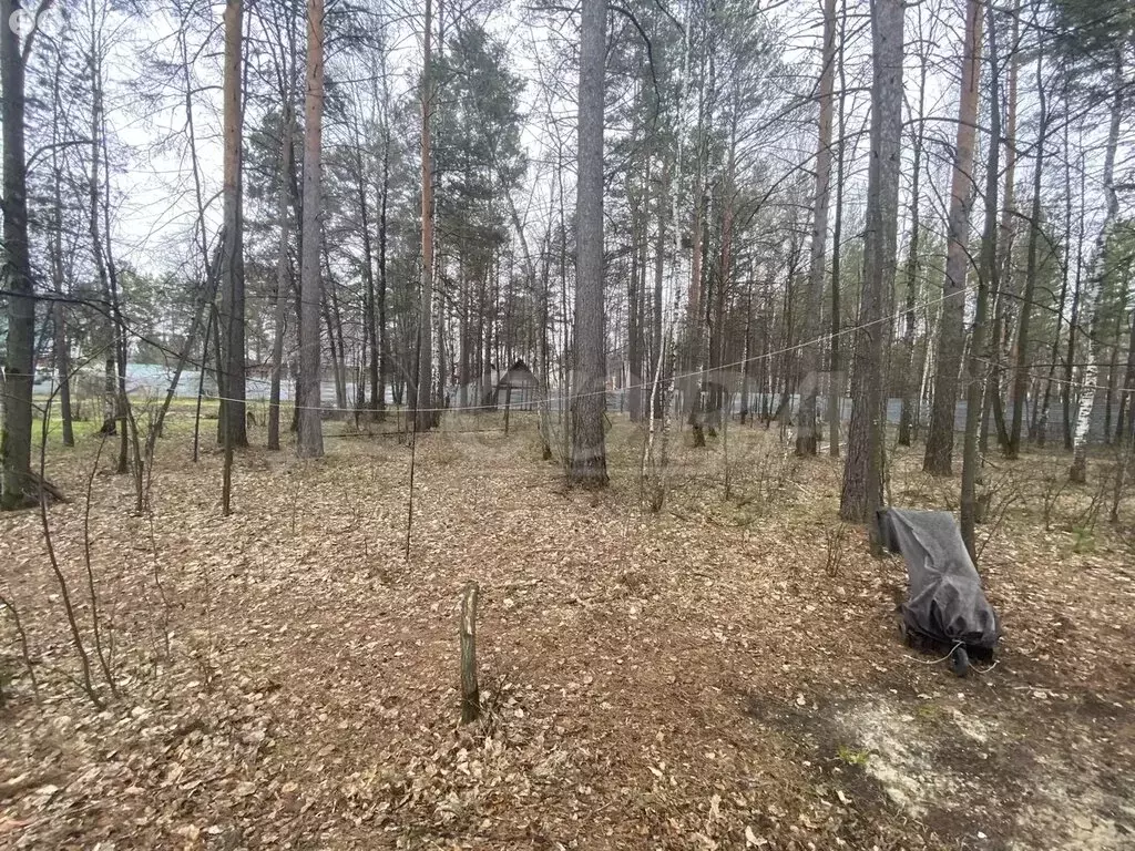 Участок в Нижнетавдинский район, село Тюнево (9 м) - Фото 0