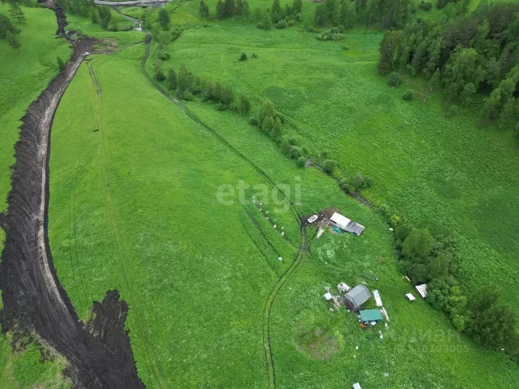 Участок в Алтай, Чемальский район, с. Бешпельтир  (295.0 сот.) - Фото 0