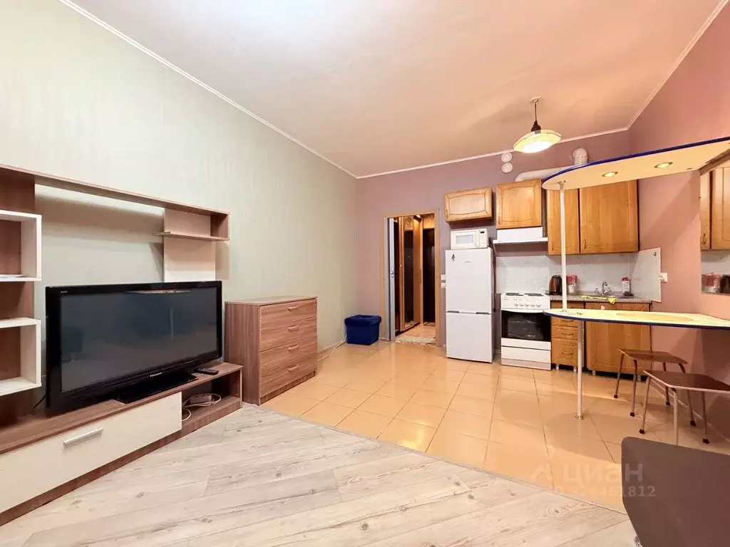 Студия Ленинградская область, Мурино Всеволожский район, аллея ... - Фото 1