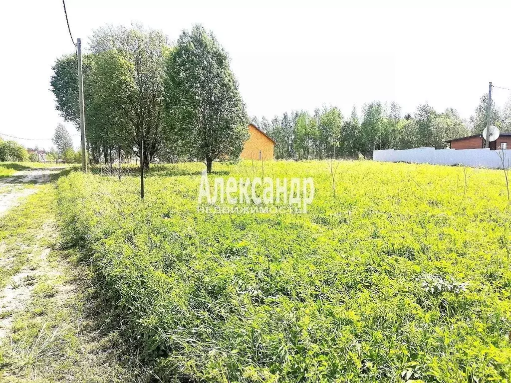 Участок в Ленинградская область, Приозерский район, Запорожское с/пос, ... - Фото 1
