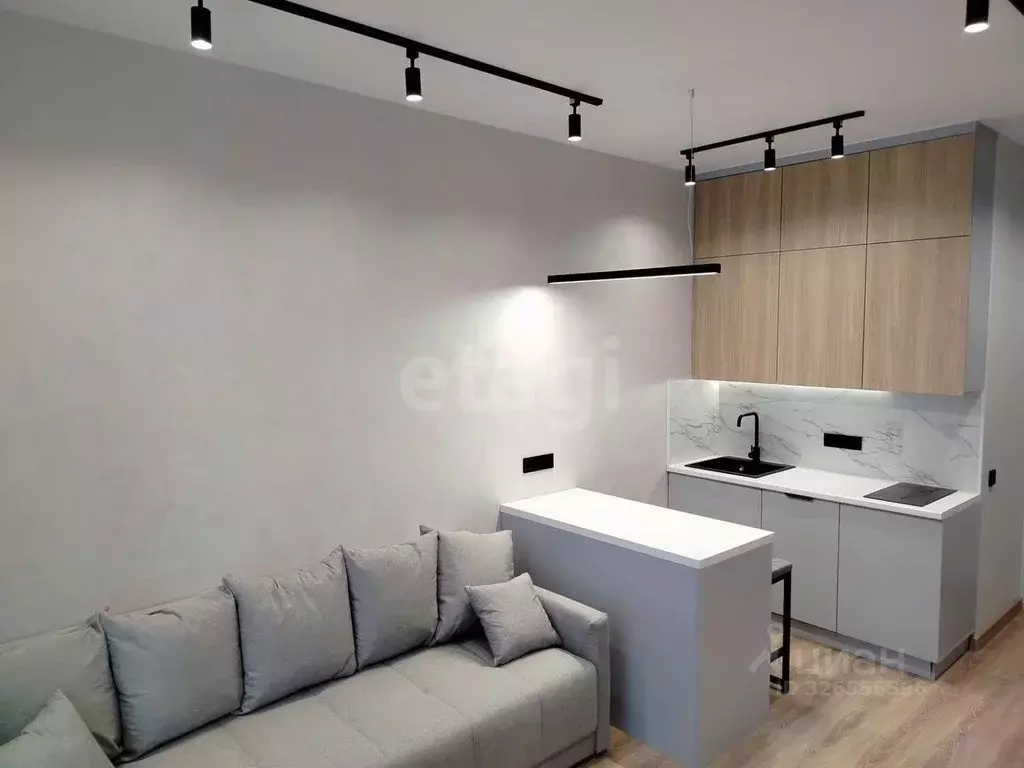 Студия Москва Автомобильный проезд, 4 (23.5 м) - Фото 1