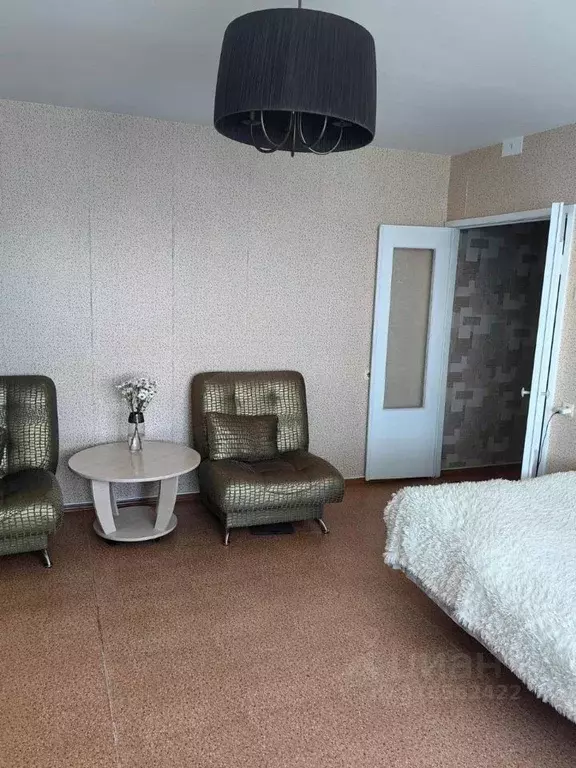 1-к кв. Омская область, Омск СибНИИСХоз мкр, пер. 1-й Башенный, 8к1 ... - Фото 2