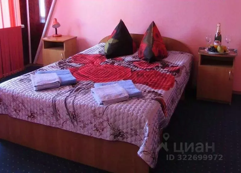 Комната Воронежская область, Анна пгт ул. Севастопольская, 11 (25.0 м) - Фото 2