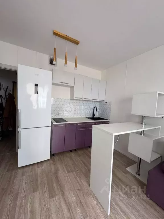 Студия Санкт-Петербург дор. Муринская, 27к1 (20.5 м) - Фото 1