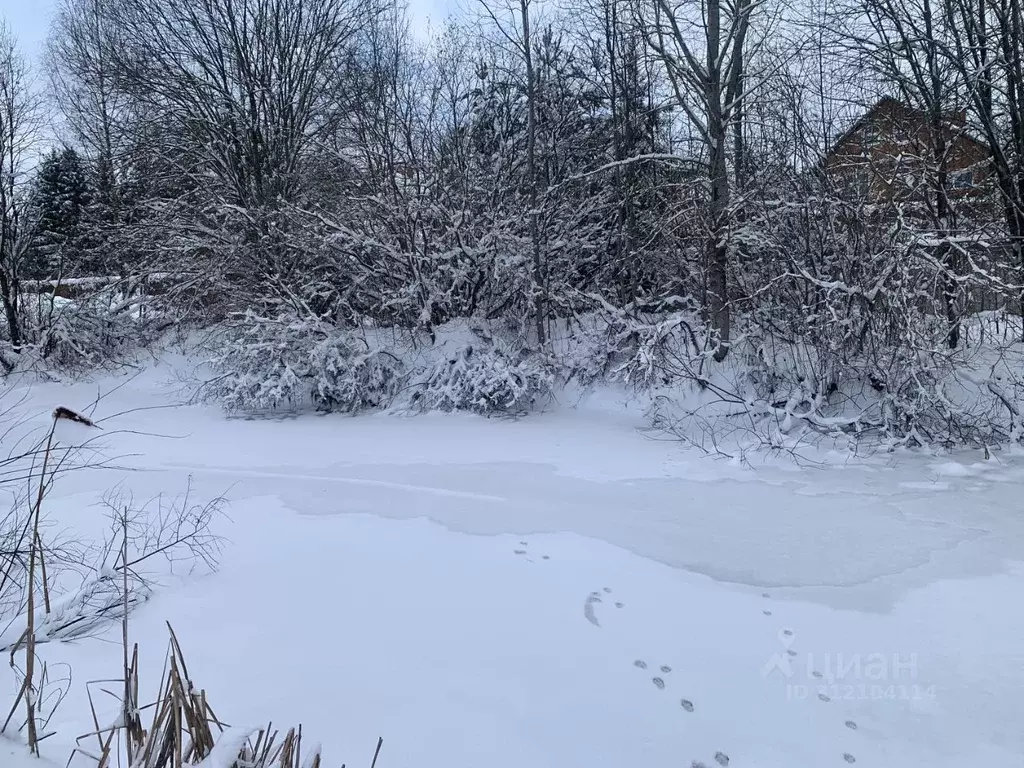 Участок в Московская область, Солнечногорск городской округ, д. ... - Фото 1