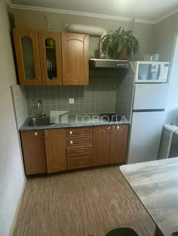 2-к кв. Алтайский край, Барнаул Молодежная ул., 39 (30.1 м) - Фото 1