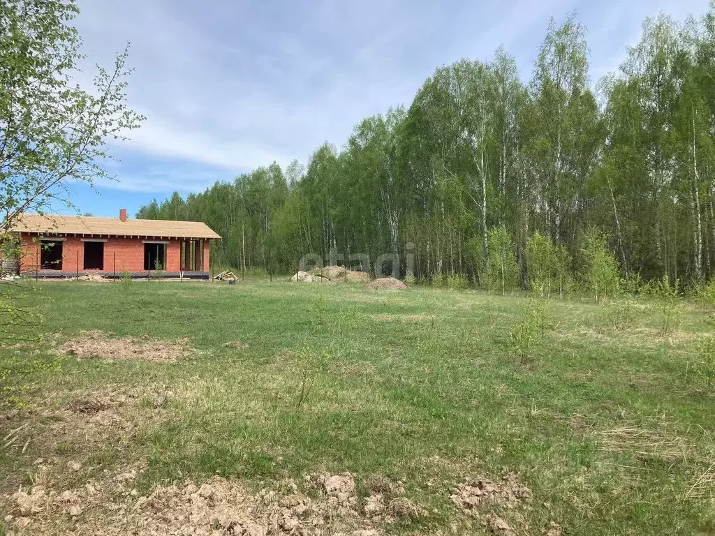 Участок в Татарстан, Зеленодольский район, Большеключинское с/пос, ... - Фото 1