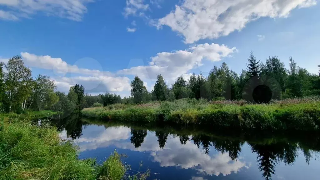 Участок 1 сот. (СНТ, ДНП) - Фото 0