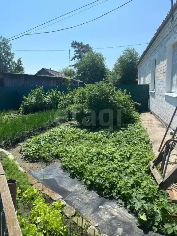 3-к кв. Амурская область, Ивановский муниципальный округ, с. Березовка ... - Фото 1